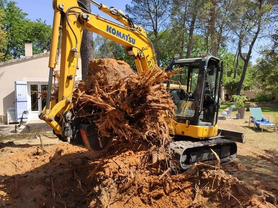 ft-terrassement-real-defrichage-1